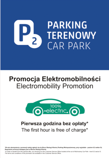 Electric-car-550x800